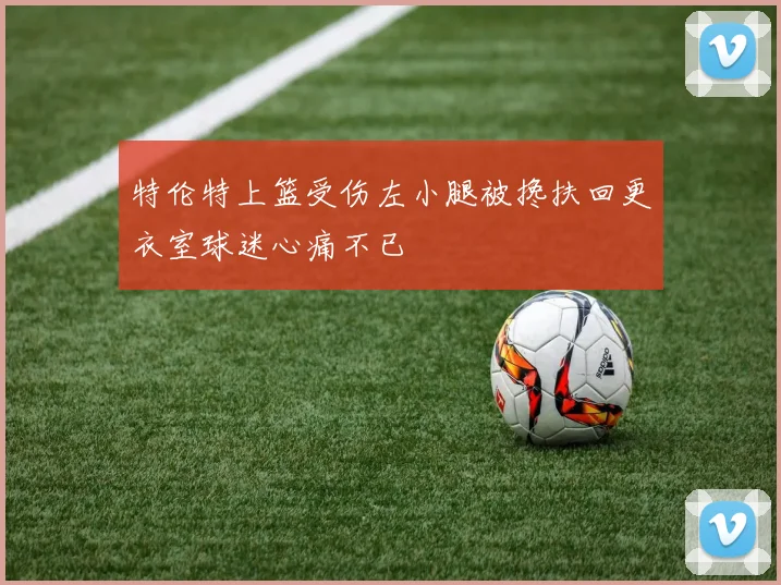 特伦特上篮受伤左小腿被搀扶回更衣室球迷心痛不已